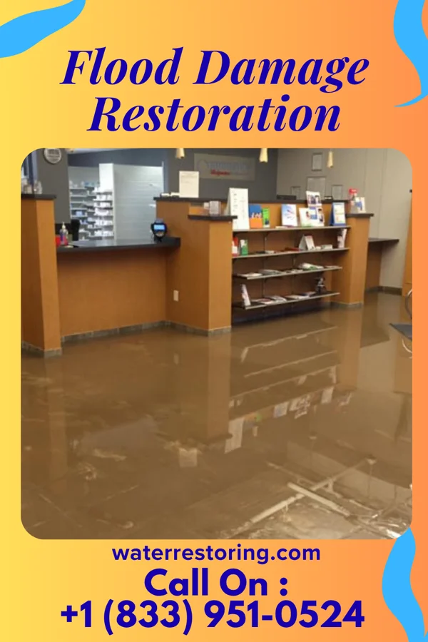 Flood Damage Restoration in Youngsville, NC