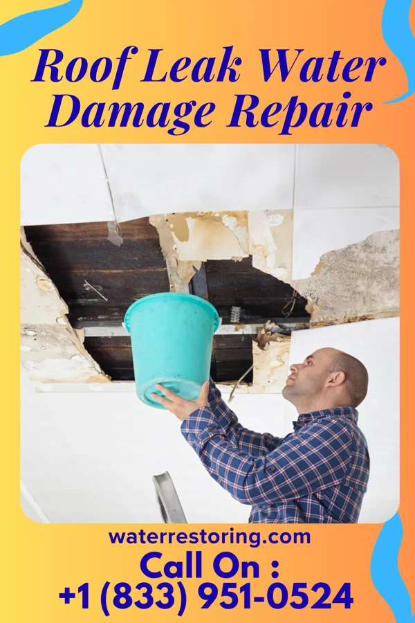 Roof Leak Water Damage Repair in Youngsville, NC