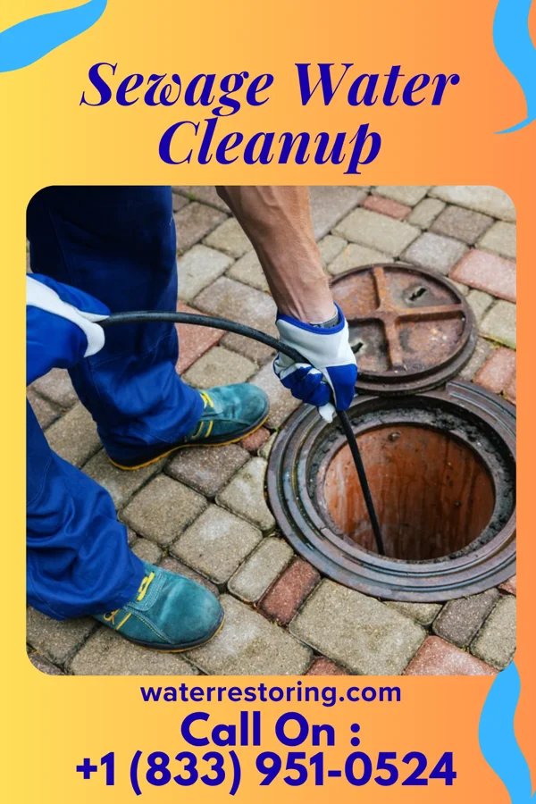 Sewage Water Cleanup in Youngsville, NC